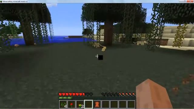 WTF MINECRAFT !!!???!!! смотреть онлайн