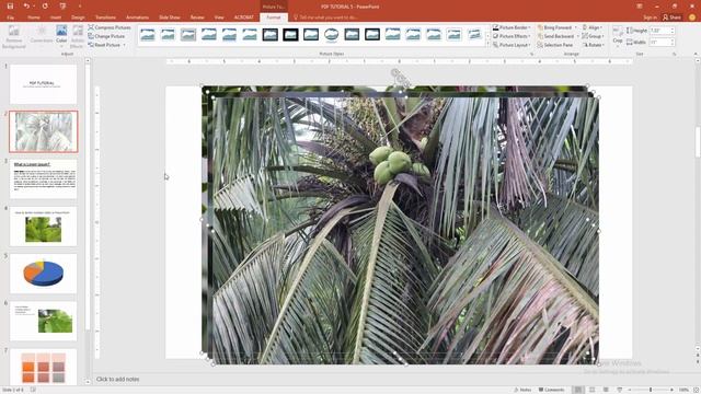How to group 3 pictures together in PowerPoint смотреть онлайн