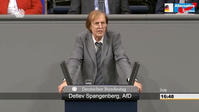 Die Kleinen hängt man, die Großen lässt man laufen! - Detlev Spangenberg - AfD-Fraktion смотреть онлайн