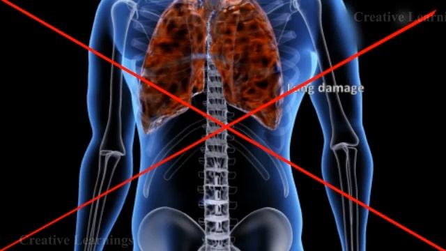 Air Pollution & global warming | Types of Air Pollutants | Types of Air Pollutants смотреть онлайн