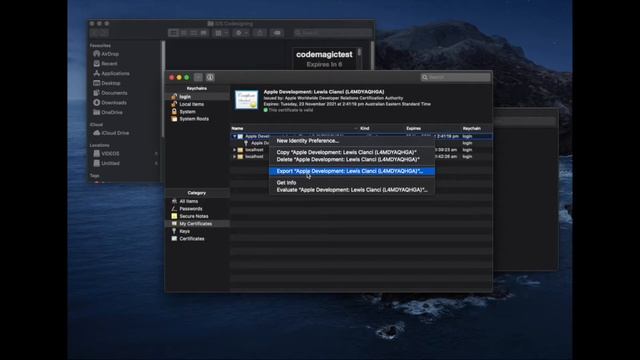 Flutter & Codemagic: Manual iOS code signing via Flutter Workflow Editor смотреть онлайн