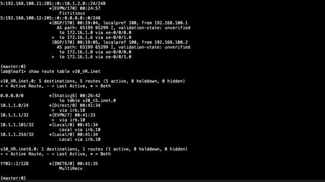 Verifying MAC VRF – Isolated Tenants External Interconnect Route Leaking смотреть онлайн