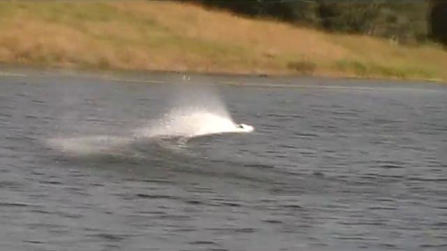 27june 10 barry mono.wmv смотреть онлайн