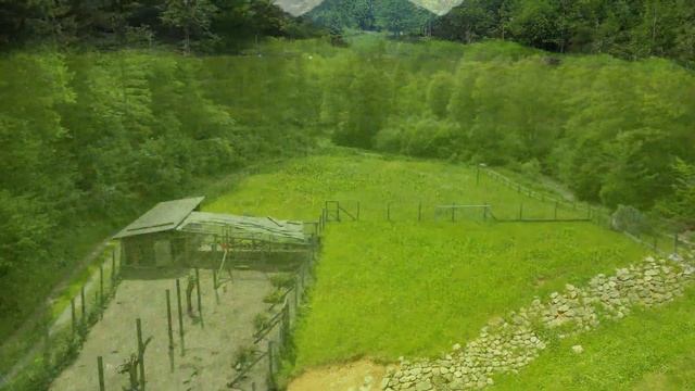 DJI mini 3 pro. Учимся летать и монтировать видео.(Naßwald) смотреть онлайн