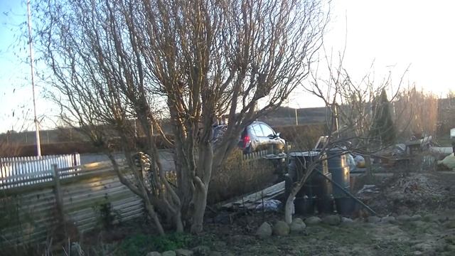 Somebody has been visiting my allotment 6 January 2022 смотреть онлайн