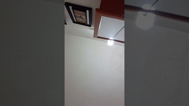 Cat fell out of window!!!! WATCH TILL END смотреть онлайн