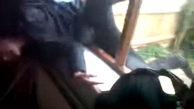 The hardest window i've ever had to get through, haha :) смотреть онлайн