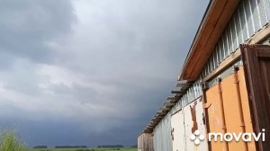 раскатить трактор 🚜Т-40. замена сцепления 🛠