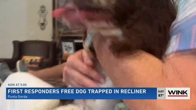 First Responders rescue trapped dog with Jaws of Life смотреть онлайн