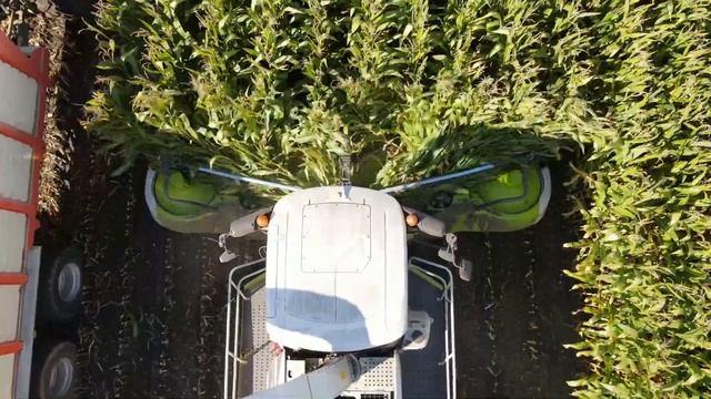 Claas Jaguar 960 Terra-Trac смотреть онлайн