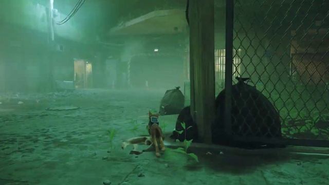 Stray - Even more than more PC Gameplay (End) **SPOILERS** смотреть онлайн