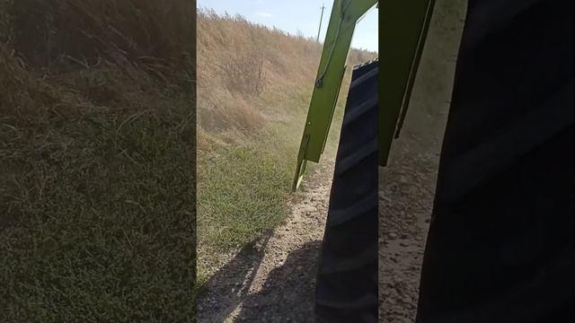 Приїхали два красені !! Огляд CLAAS DOMINATOR 66 ідеальний стан 1700 мотогодин. John Deere 955 смотреть онлайн