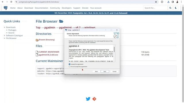 How to install PgAdmin on Windows 11 смотреть онлайн