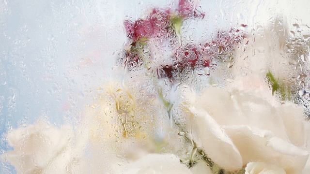 Enjoy the sound of soft rain outside the window | Meditate & enjoy a mindful moment | 20 Minutes. смотреть онлайн