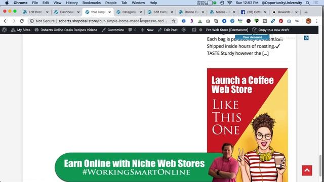 Premium Theme and Plugin Access Build Your Own Online Web Store смотреть онлайн