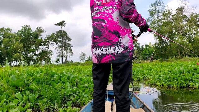Cewek ini gak ada Bosan Bosan nya Casting Gabus di Sini || Lady Angler смотреть онлайн