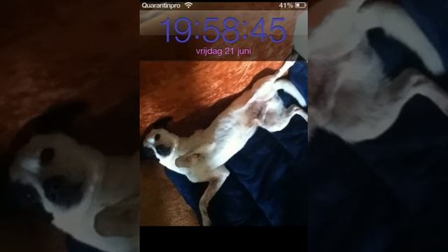 My tweaks and apps review and much more June 2013 смотреть онлайн