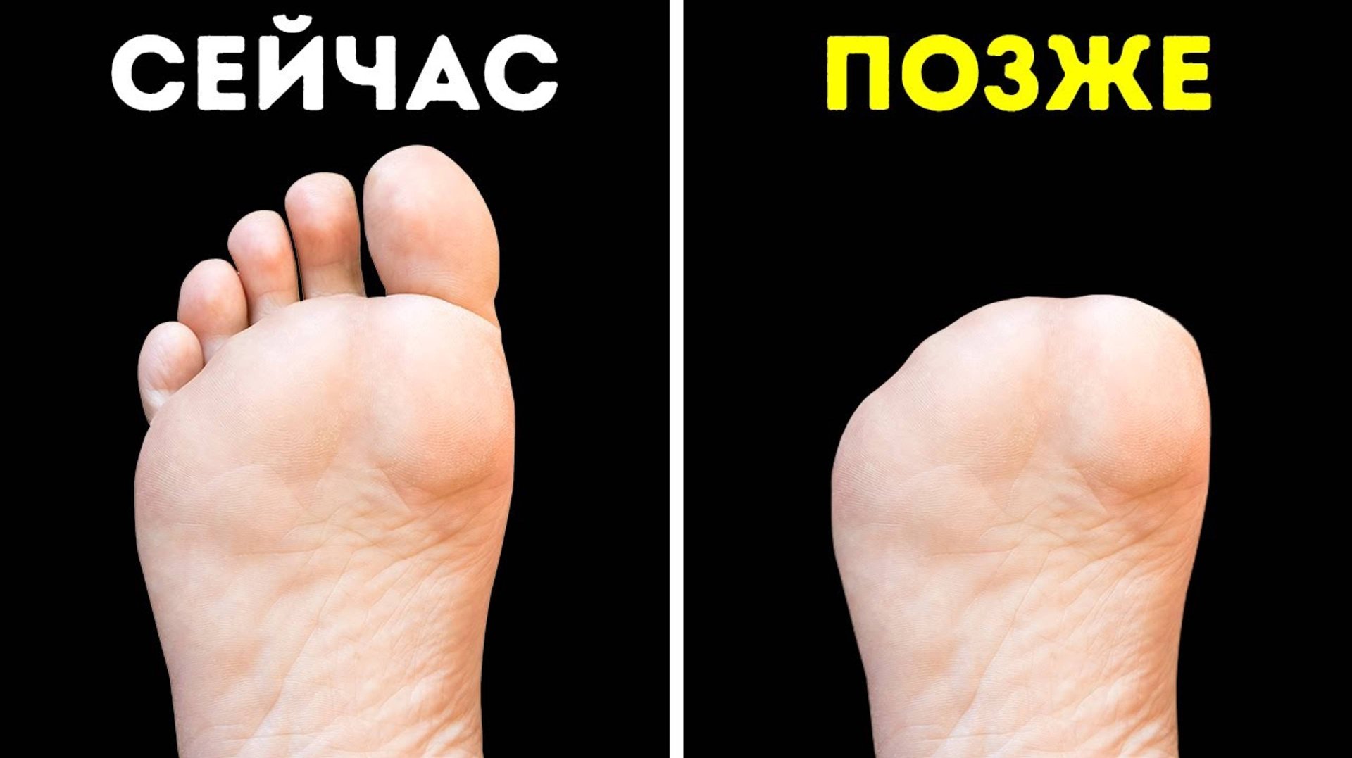 Ошеломляющая анатомия: интересные факты о человеческом теле смотреть онлайн