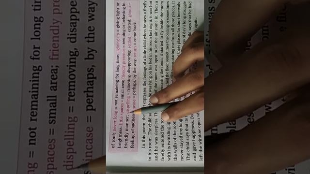 Class-5/English Rbse/ Chapter-13/Firefly in my room/Part-1 смотреть онлайн