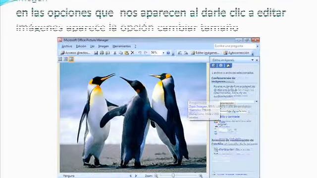 manual de microsoft office picture manager смотреть онлайн