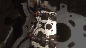 распредвалы 16 кл есть разница, не перепутай 🧐