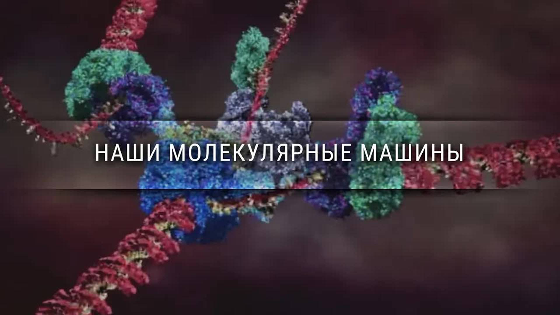 [Veritasium] Наши молекулярные машины смотреть онлайн