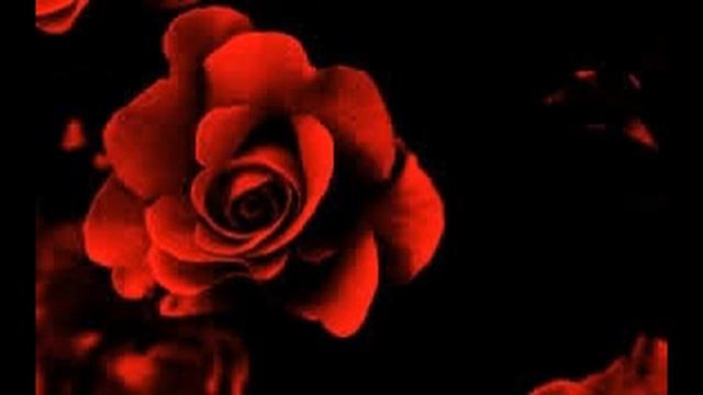 Wallpapers смотреть онлайн