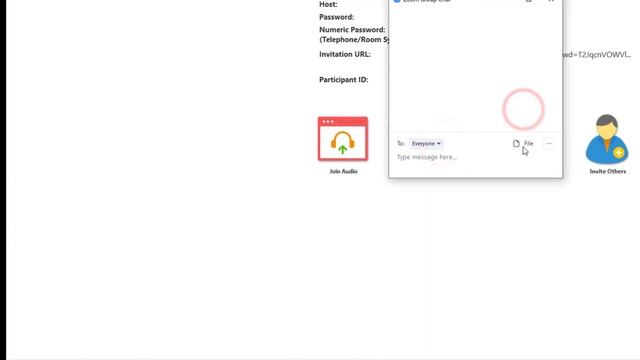 Zoom-Client Overview смотреть онлайн