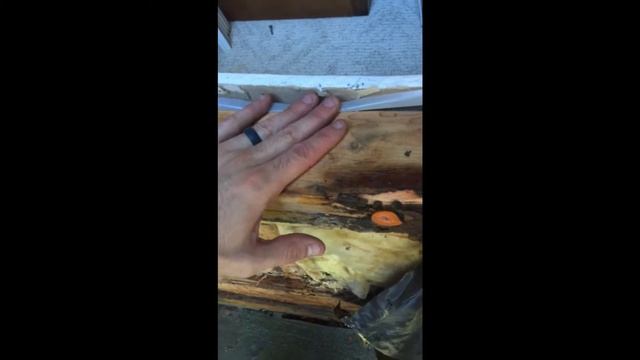 Window Repair That Went South Part 1 смотреть онлайн