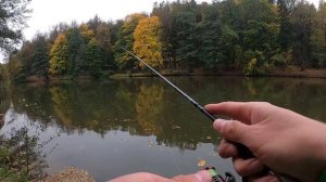 Превосходный Travel ультралайт Tailwalk Outback Light S665UL. Первое впечатление.