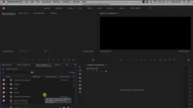 LESSON 02 | How to import and organize Media in Premiere Pro смотреть онлайн