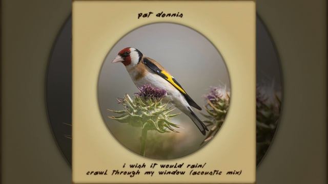 Crawl Through My Window (Acoustic Remix) смотреть онлайн