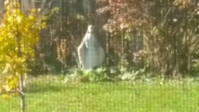 Looking Out The Kitchen Window. Getting Ready To Make Breakfast. смотреть онлайн