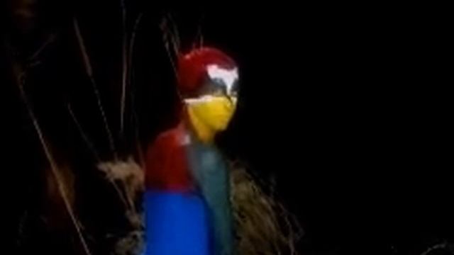 ΧΑΜΕΝΑ ΟΝΕΙΡΑ - 1ο ΤΕΕ ΠΟΛΙΧΝΗΣ смотреть онлайн