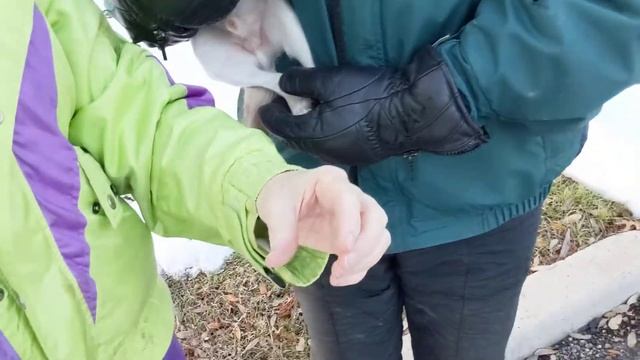 Hibernation in Texas Video 2021 смотреть онлайн