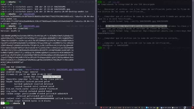 Comprobando la integridad de la ISO de Ubuntu Focal Fossa смотреть онлайн
