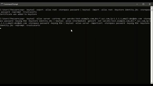 Create a Wildcard with SAN certificate and sign it with an internal CA смотреть онлайн