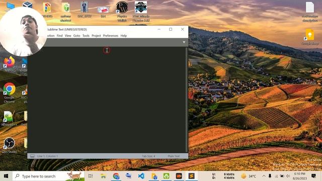 download and install sublime text || sublime text kaise download karen смотреть онлайн