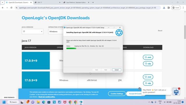 Unlock Java 17's Power! Easy Installation Guide 2024 смотреть онлайн