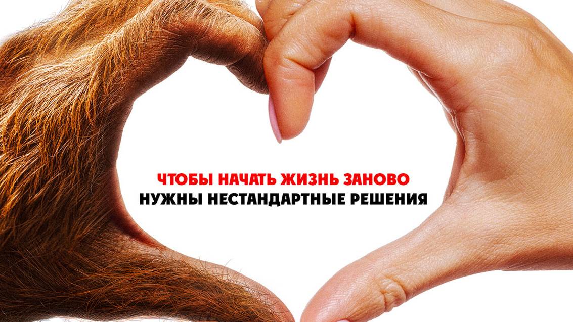 Мой сосед — монстр Трейлер фильма 2024 смотреть онлайн