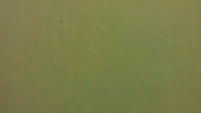 Sent from no where by Windows Phone смотреть онлайн