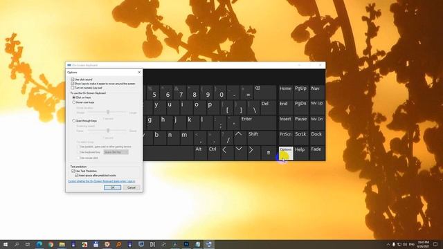 How to enable the Numeric Key pad of Windows 10 On-Screen keyboard смотреть онлайн