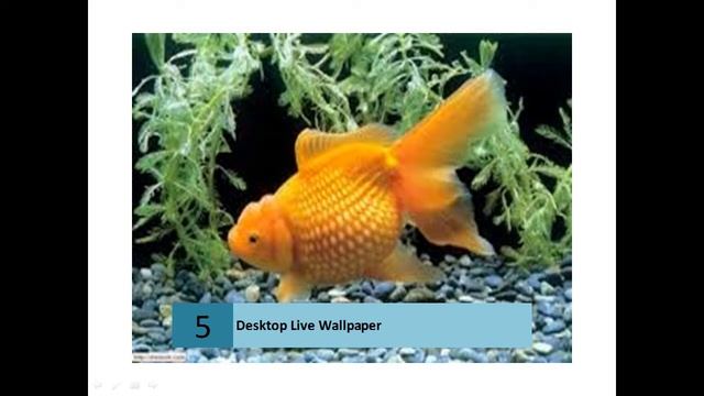 Wonderfull Live Desktop Wallpapers смотреть онлайн