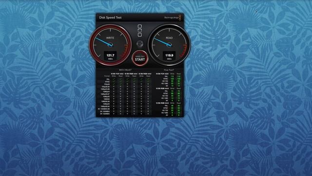 Seagate Backup Plus 4TB Speed Test смотреть онлайн