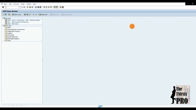 SAP Landscape & Navigation Final смотреть онлайн