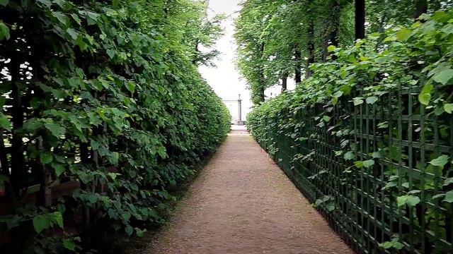 Не были в Летнем саду❓️ Так, идем #петербург #летнийсад смотреть онлайн