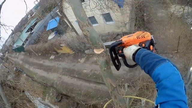 Спил Ивы, Работа арбориста🔸НА СПИЛЕ