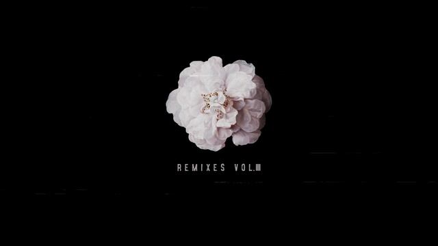 homasapiens - remixes vol.3 смотреть онлайн