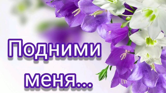 Подними меня... Камерный ансамбль Е. Н. Пушкова.