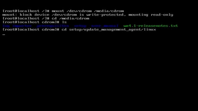 Installing WebALARM Update Management Agent (UMA) on Linux смотреть онлайн